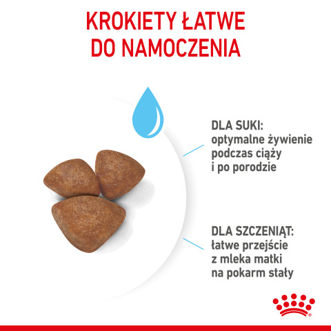 Royal Canin Mini Starter Mother & Babydog Erwachsen Geflügel 1 kg - Fotogalerie 11