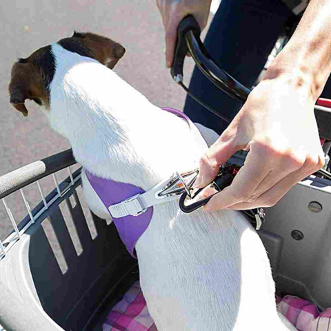 FERPLAST Atlas Bike 20 Rapid - Fahrradkorb für Tiere - Fotogalerie 3