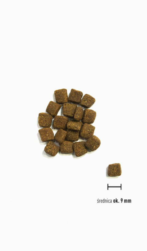ORIJEN Small Breed Marine Fish - trockenfutter für Hunde - 1,8kg - Fotogalerie 2