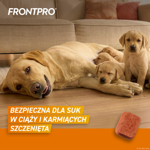 FRONTPRO Floh- und Zeckentabletten für Hund (>25-50 kg) - 3x 136mg - Fotogalerie 4