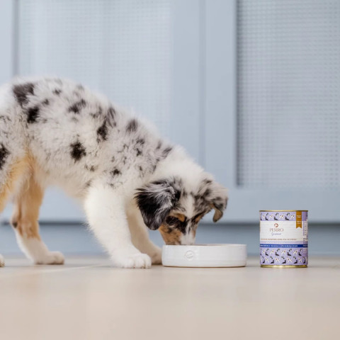 PERRO Junior Rabbit with pumpkin - Nassfutter für Hunde - 400g - Fotogalerie 3
