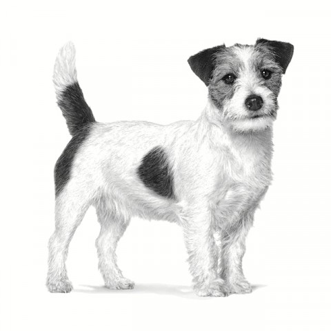 ROYAL CANIN Gastrointestinal Low Fat Small VHN - trockenfutter für Hunde - 3,5kg - Fotogalerie 2