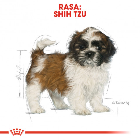 ROYAL CANIN Shih Tzu Puppy - Trockenfutter für Hunde - 1,5 kg - Fotogalerie 8