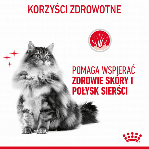 ROYAL CANIN Hair & Skin Care - nassfutter für Katzen - 12x85g - Fotogalerie 3