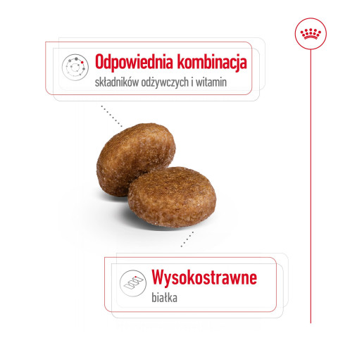 ROYAL CANIN Maxi Adult 5+ - Trockenfutter für Hunde - 15 kg - Fotogalerie 10