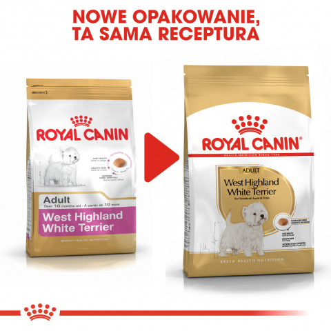 Royal Canin BHN West Highland White Terrier Adult - Trockenfutter für ausgewachsene Hunde - 3kg - Fotogalerie 2