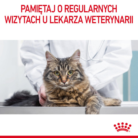 Royal Canin Urinary Care Trockenfutter für Katzen 10 kg - Fotogalerie 4