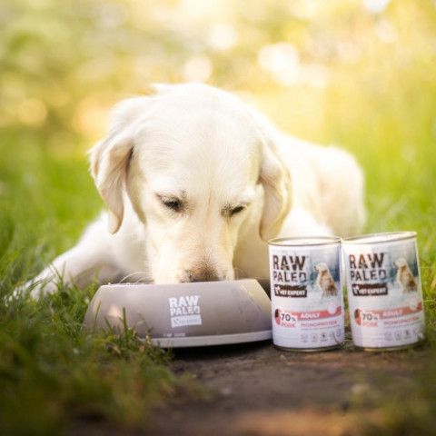 RAW PALEO Adult Monoprotein Pork – Nassfutter für Hunde – 800 g - Fotogalerie 3
