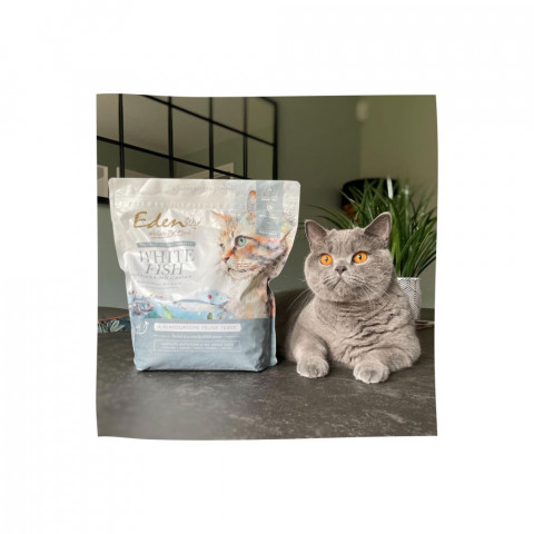 EDEN Weißfisch mit Heringskaviar - Trockenfutter für Katzen - 1,5 kg - Fotogalerie 4