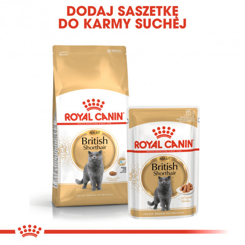 ROYAL CANIN FBN British Shorthair Adult Trockenfutter für Katzen - 10 kg - Fotogalerie 5