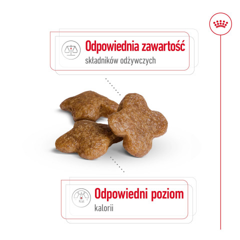 Royal Canin Mini Adult 8+ 8 kg Senior Geflügel, Reis, Gemüse - Fotogalerie 9