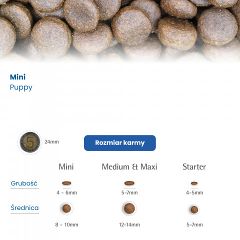 FARMINA N&D Pumpkin Mini Puppy - Trockenfutter für Hunde - 2,5 kg - Fotogalerie 6