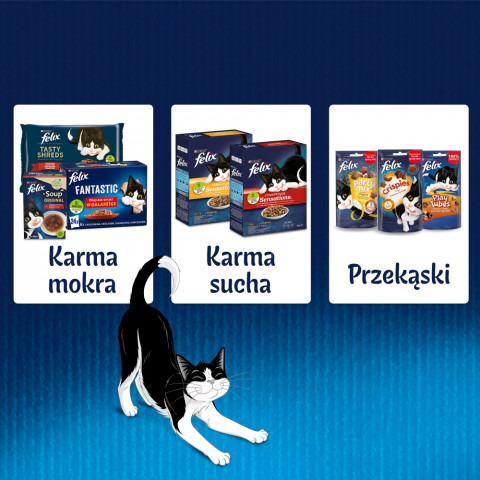  Purina Felix Sensations Mix Truthahn, Makrele, Lamm, Hering Box - Katzen Nassfutter - 12x85 g - Fotogalerie 2