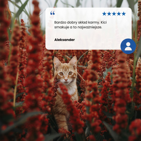 FARMINA N&D Quinoa Weight Management Lamb&Broccoli - Trockenfutter für Katzen - 5 kg - Fotogalerie 3