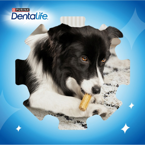 PURINA Dentalife Mini - leckerli für hunde - 69g - Fotogalerie 7