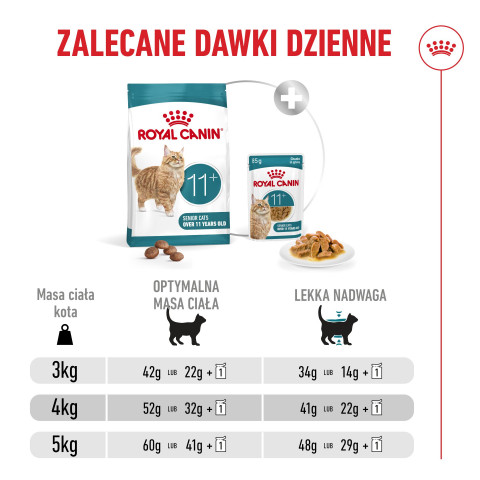 ROYAL CANIN Ageing 11+ - trockenfutter für Katzen - 2kg - Fotogalerie 11