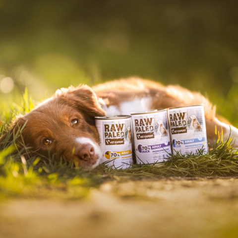 RAW PALEO Adult Monoprotein Duck – Nassfutter für Hunde – 400 g - Fotogalerie 3