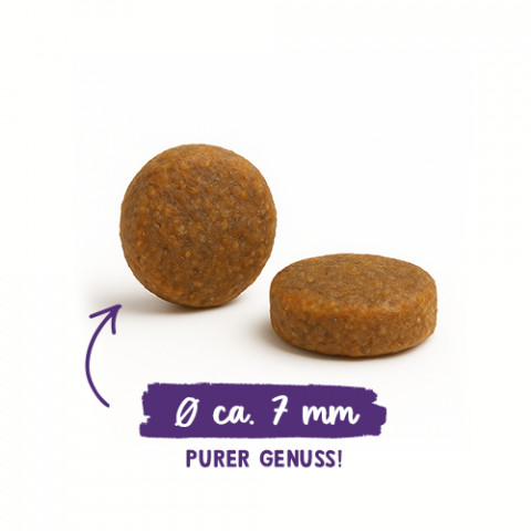 BOSCH Sanabelle Adult Ostrich & Blueberries - trockenfutter für Katzen - 2kg - Fotogalerie 3