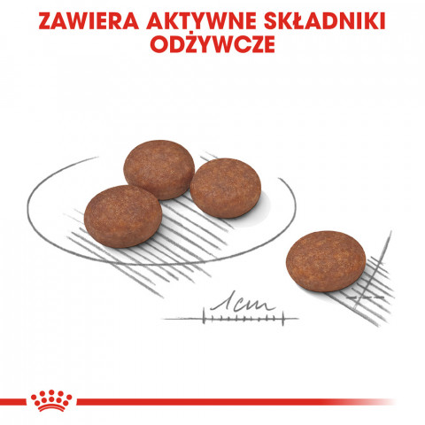 ROYAL CANIN Mini Digestive Care - Hundetrockenfutter für ausgewachsene kleine Rassen - 1kg - Fotogalerie 7