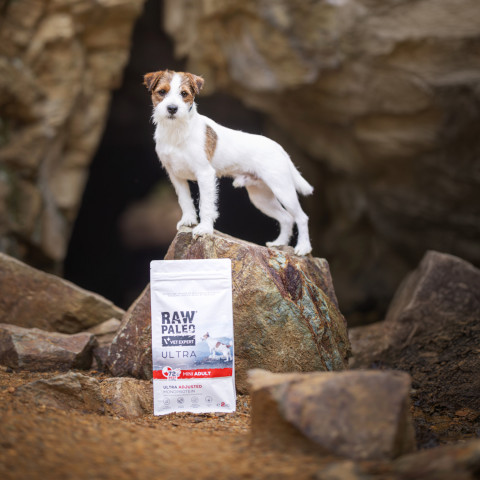RAW PALEO Ultra Mini Adult Beef – Trockenfutter für Hunde – 2 kg - Fotogalerie 3