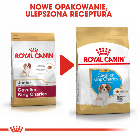 Royal Canin BHN Cavalier King Charles Spaniel Puppy - Trockenfutter für Welpen - 1,5 kg - Fotogalerie 3