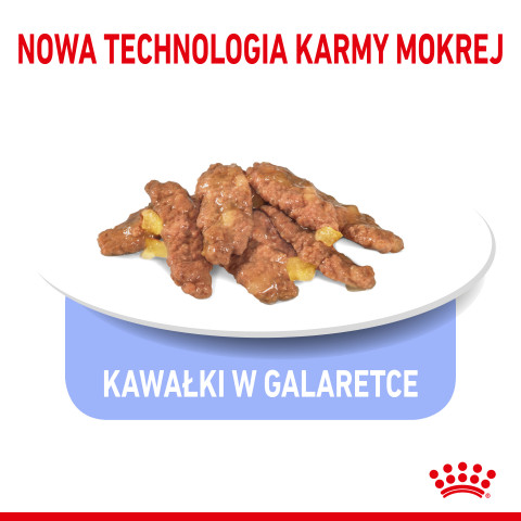 ROYAL CANIN FHN Indoor jelly - Nassfutter für ausgewachsene Katzen - 12x85g - Fotogalerie 5
