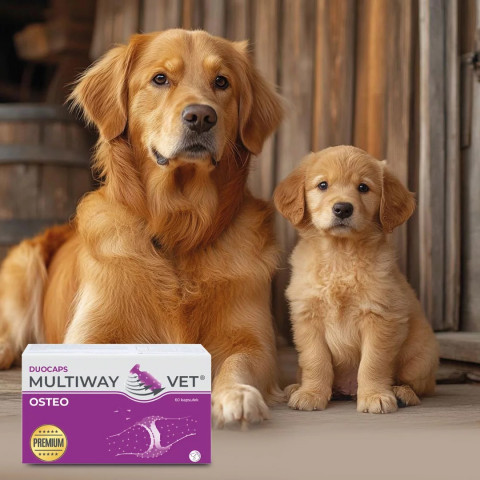 JM SANTE Multiway Vet Duocaps Osteo - twist-off kapseln für gelenke bei hunden und katzen – 60 stück - Fotogalerie 2