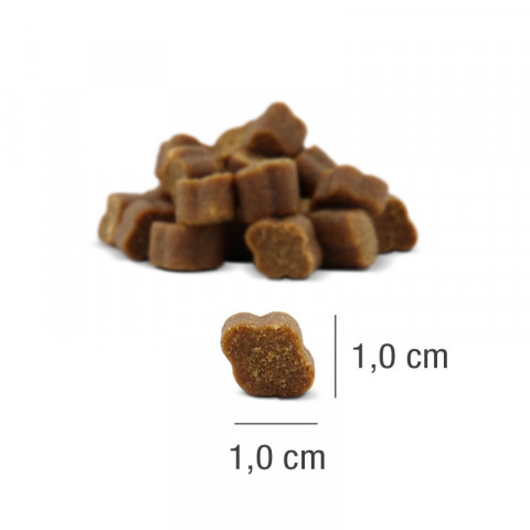 PLATINUM Fit-Bits Detox – Leckerli für Hunde – 2x150g - Fotogalerie 3