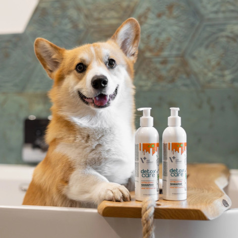VETEXPERT Detox Care Vitalizing - shampoo für hunde und katzen - 250 ml - Fotogalerie 2