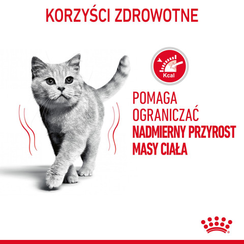 ROYAL CANIN FCN Light Weight Care in Gelee - Nassfutter für ausgewachsene Katzen - 12x85g - Fotogalerie 14