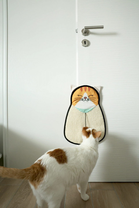 ZOLUX Chatouille hanging scratching pad - kratzbaum für katzen - 54 cm - Fotogalerie 2