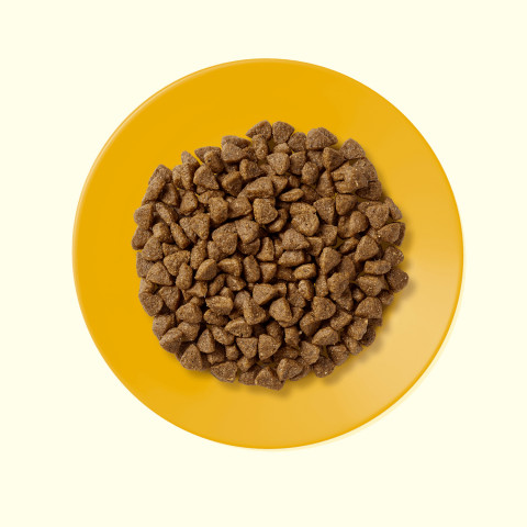 APPLAWS Kitten Chicken - trockenfutter für Katzen - 2kg - Fotogalerie 2