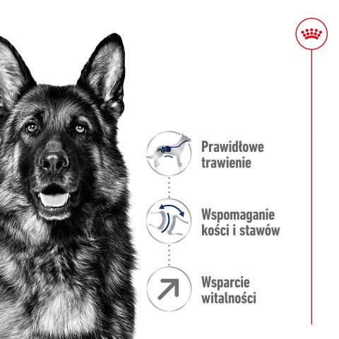 ROYAL CANIN Maxi Adult 5+ - Trockenfutter für Hunde - 15 kg - Fotogalerie 6