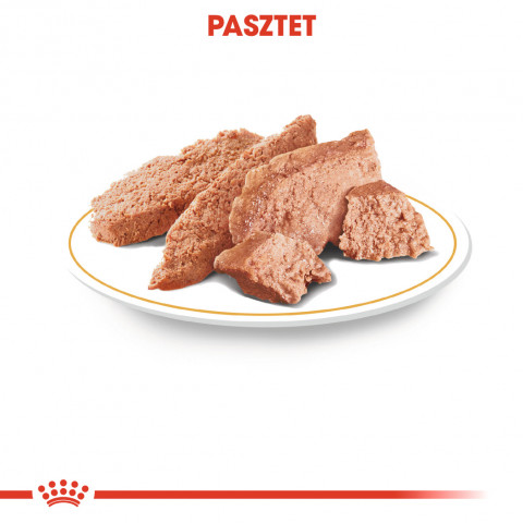 ROYAL CANIN Chihuahua - Paket 12x85g - Fotogalerie 8