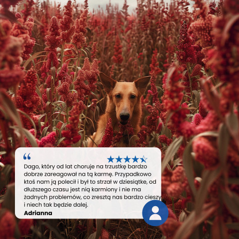 FARMINA N&D Quinoa Dog Digestion Lamb Adult Mini - Trockenfutter für Hunde - 2.5 kg - Fotogalerie 2