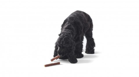 JOHN DOG Boar sticks - Hundeleckerli - 50 g - Fotogalerie 3