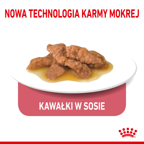 ROYAL CANIN Indoor Sterilized - Nassfutter für ausgewachsene Katzen - Stückchen in Sauce 12x85 g - Fotogalerie 5