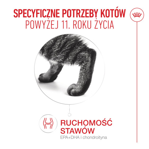 ROYAL CANIN Ageing 11+ - trockenfutter für Katzen - 2kg - Fotogalerie 6