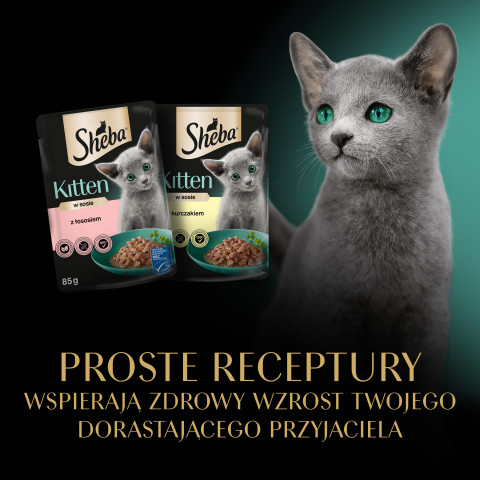 SHEBA Kitten Selection of Flavours in Sauce - Nassfutter für Katzen - 40x85 g - Fotogalerie 12