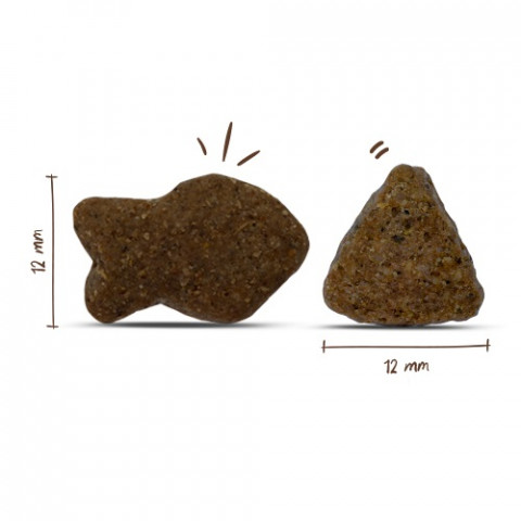 BOSCH Adult Salmon & Potato - trockenfutter für Hunde - 3kg - Fotogalerie 2