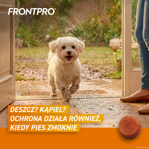 FRONTPRO Floh- und Zeckentabletten für Hund (2-4 kg) - 3x 11,3mg - Fotogalerie 3