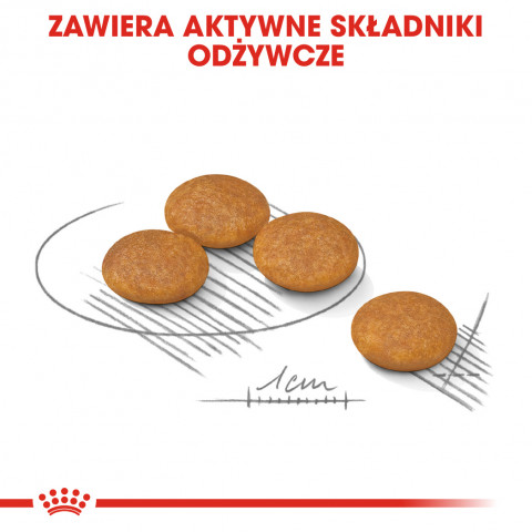 Royal Canin Mini Dermacomfort 3 kg Adult Rind, Gemüse - Fotogalerie 12