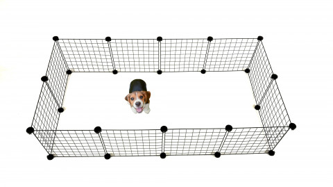  C&C Modularer Hundeauslauf 145x75x37 cm - Fotogalerie 14