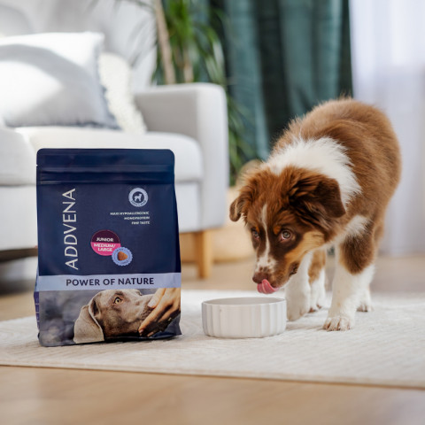 ADDVENA Power of Nature Junior Medium/Large Lamb - trockenfutter für Hunde - 2,5kg - Fotogalerie 3