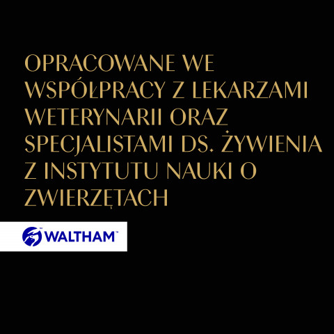 SHEBA Schalensauce Geflügel/Huhn/Pute - Katzennassfutter - 32x85g - Fotogalerie 9