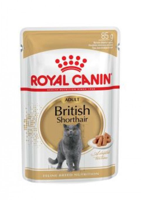 ROYAL CANIN British Shorthair Paket 12x85g - Fotogalerie 11