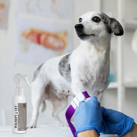 JM SANTE Polisept Vet - wundlösung für hunde und katzen – 200 ml - Fotogalerie 2