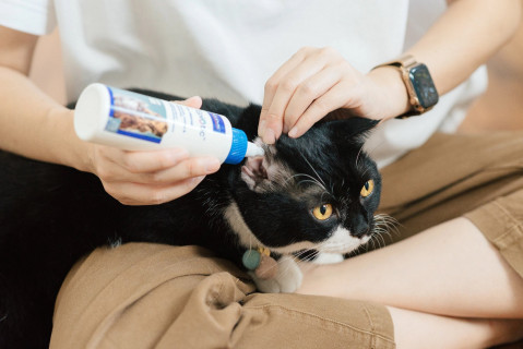 VIRBAC EpiOtic Ear Cleanser - ohrenpflegelösung für hunde und katzen - 125ml - Fotogalerie 3