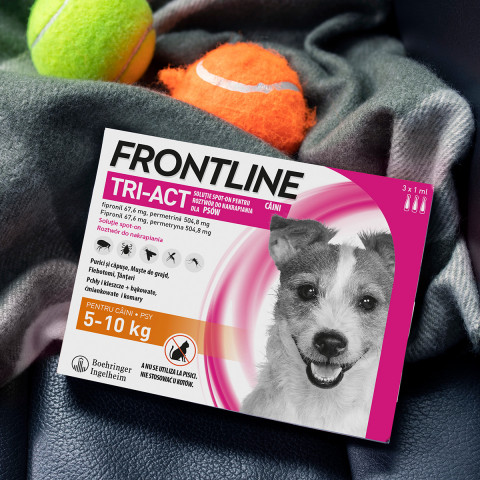 FRONTLINE Tri-Act S Parasitentropfen für Hunde 5-10 kg,- 3 x 1 ml - Fotogalerie 6