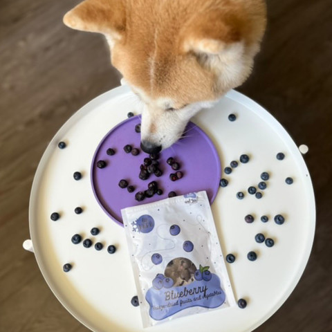 PEPE Lio Blueberry - leckerli für hunde - 15g - Fotogalerie 3